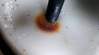 Exploding Coconut With Electricity