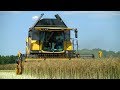 √Żniwa Nowym Nabytkiem! √ New Holland Cx 6.80 !