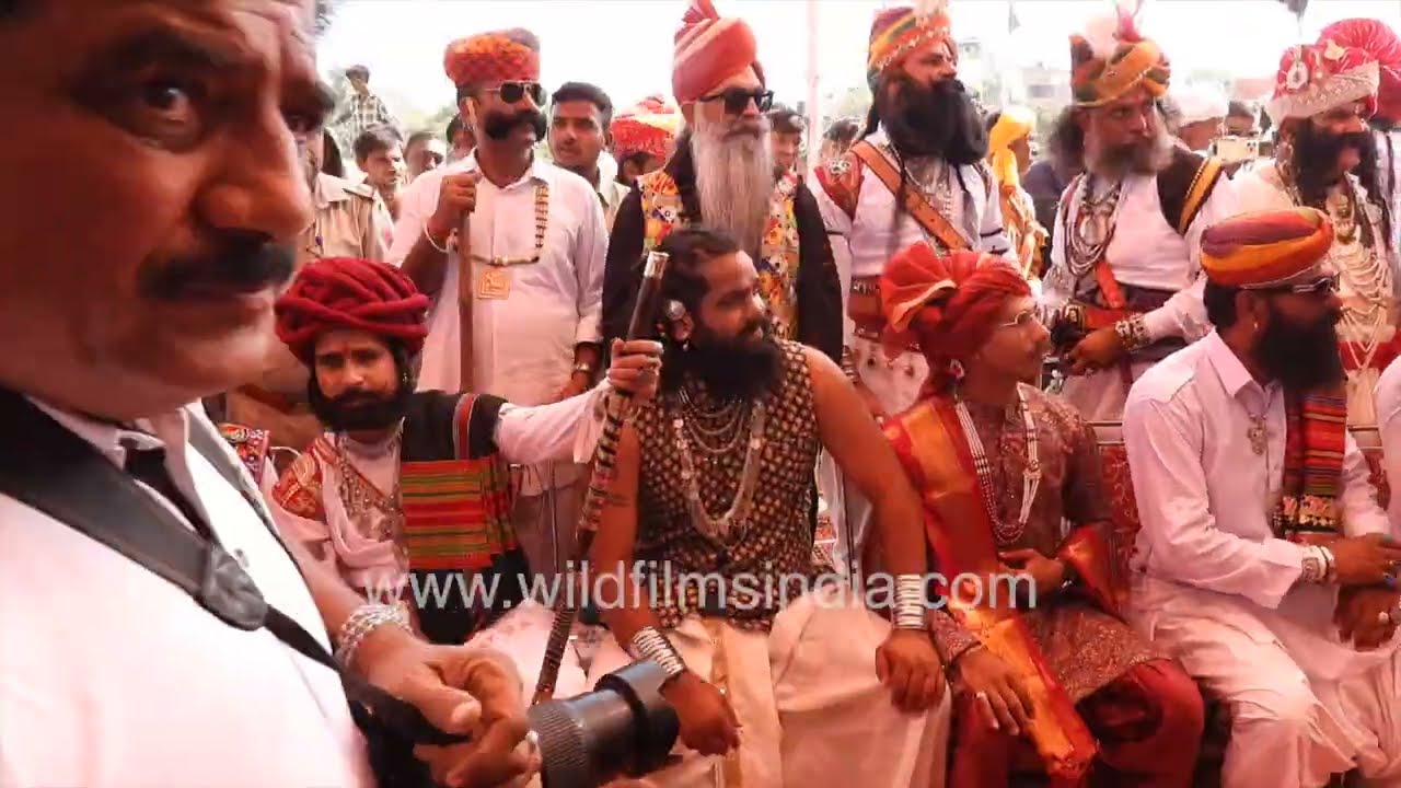 Соревнование на лучшую и самую длинную бороду и усы на фестивале Pushkar Mela в Раджастхане, Индия