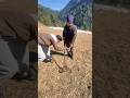 metal detector aa kya mila #metaldetecting #hunting #metal #hunter
