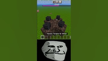 Minecraft Logic🤔 (Troll Face Meme) #shorts #minecraft #logic