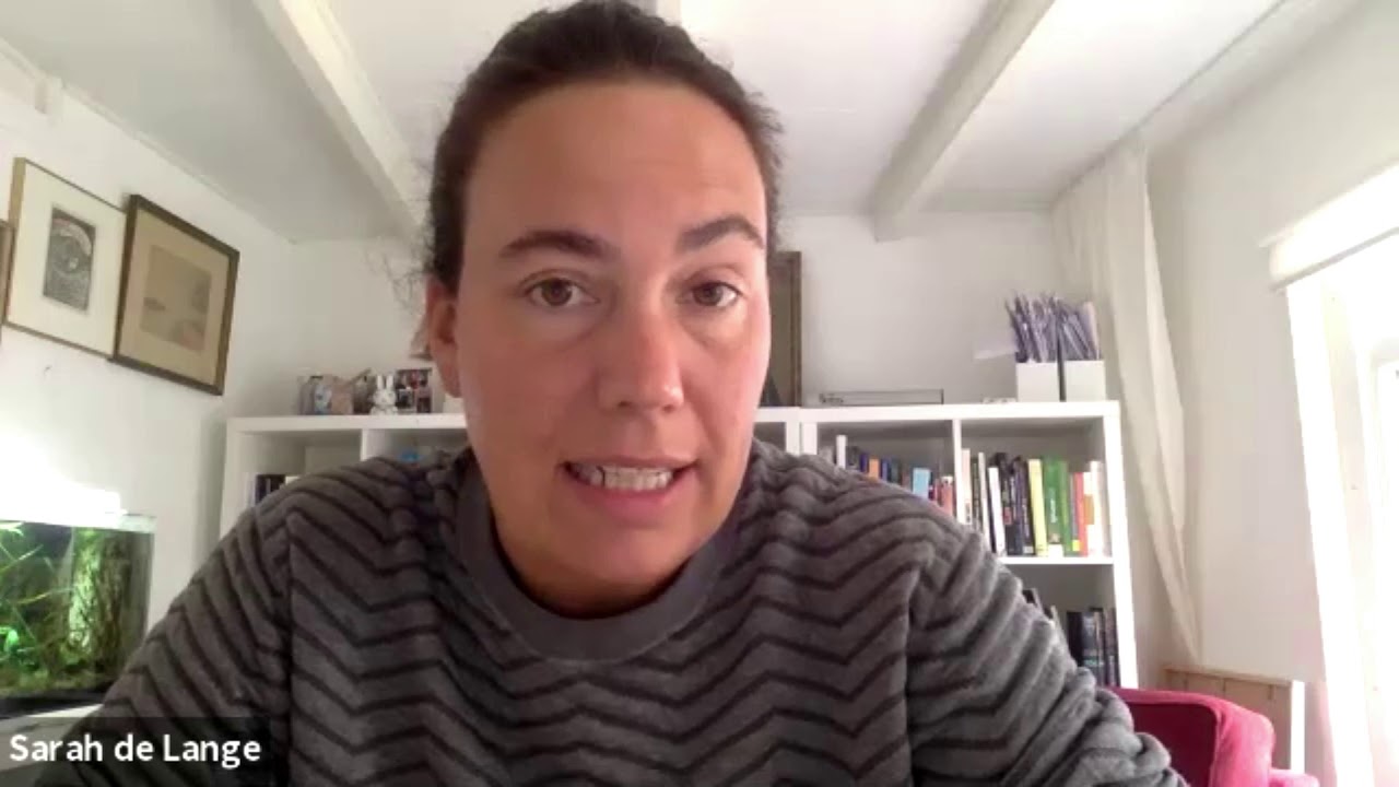 Social Democracy and Populism (Sarah de Lange, Steven M. Van Hauwaert)