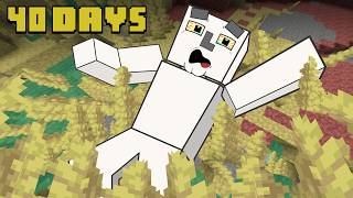 40 Days - [HARDCORE SULFUR CAVES]