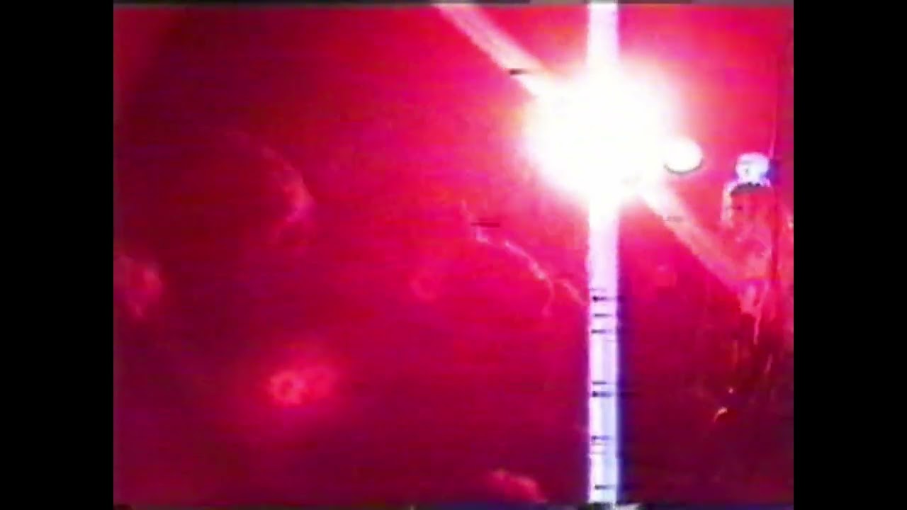 The Shanks at the Wild Boar Festival July 1992