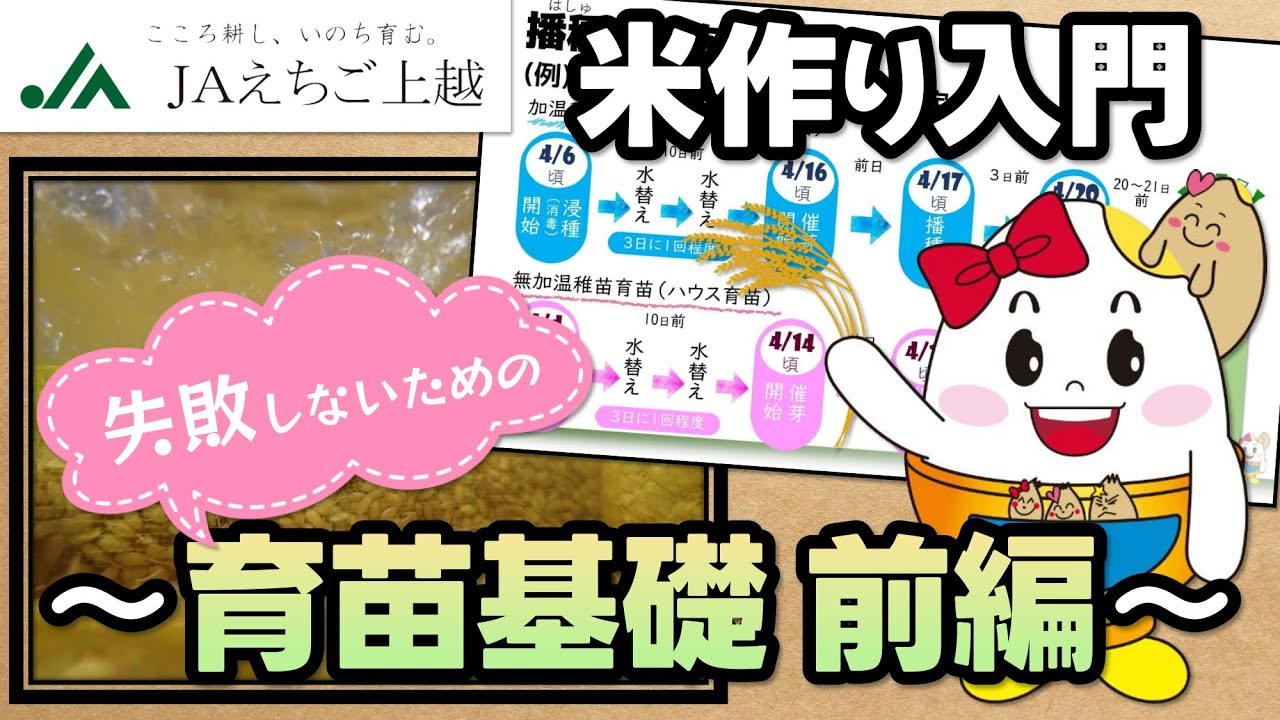 米作り入門～育苗前編~ - YouTube