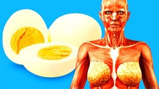 видео Яйца - калорийность, польза и вред, полезные свойства