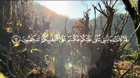 سورة المؤمنون بصوت الشيخ القارئ: ياسر الدوسري