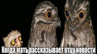 Детские Анекдоты Детские Анекдоты