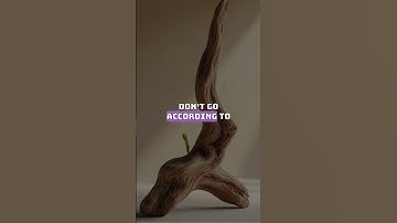 Turning Setbacks Into Opportunities 🔄🚀 | Fail Forward to Success! #mindset  #growthmindset