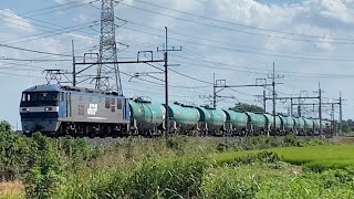 【試作機牽引】 EF210-901号機牽引貨物 東鷲宮〜栗橋通過
