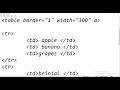 2nd video on video tag
