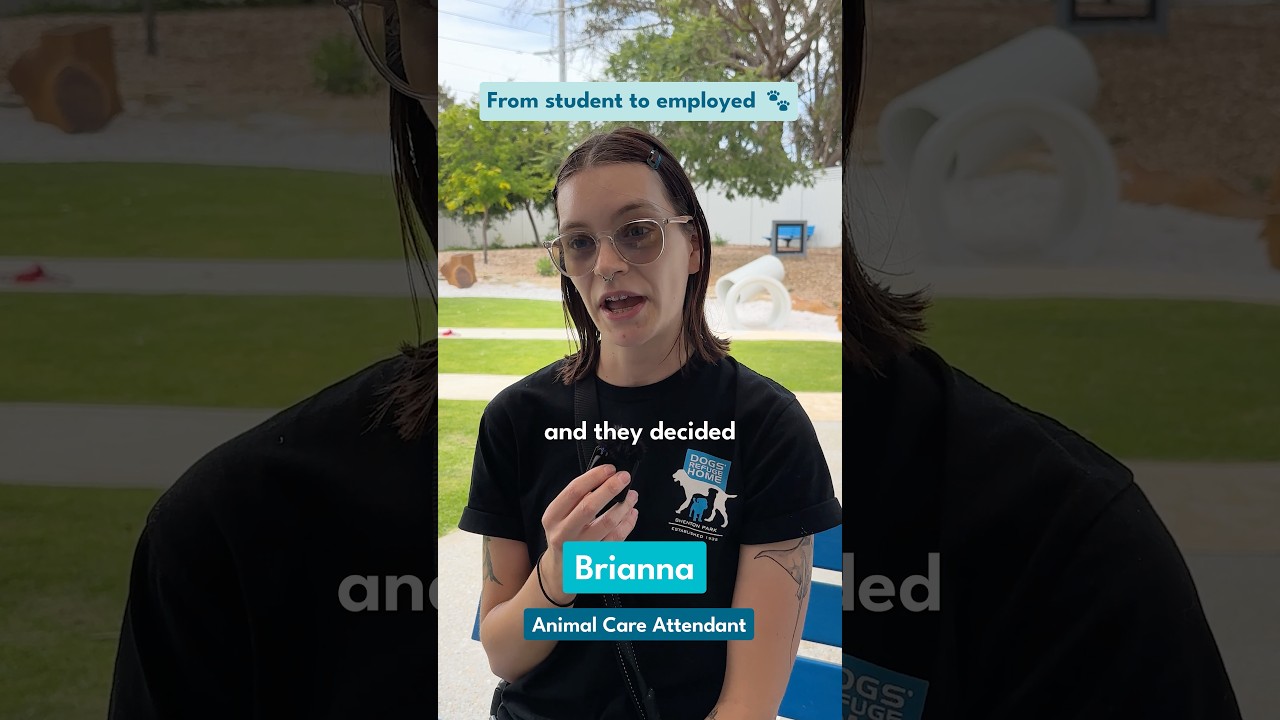 From animal care to vet nursing 💙💚 #animalcare #dogs #vetnursing