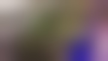 Day 1 part 2 setting up second scrog net