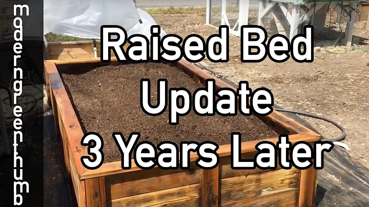 Raised Bed Update 3 years Later