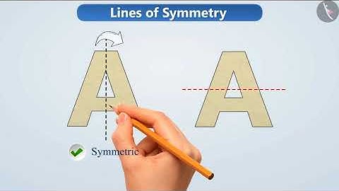 Lines of Symmetry | Part 1/3 | English | Class 6