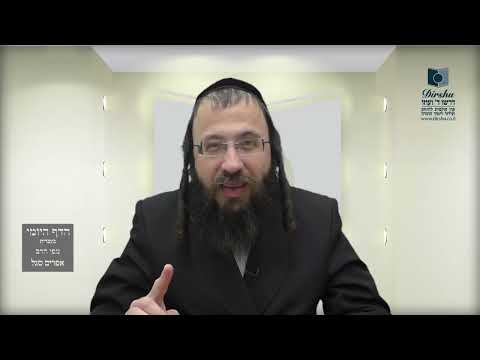 הדף היומי מסכת מנחות דף כח