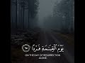 وكلهم اتيه يوم القيامة فردا عبدالرحمن مسعد