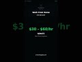 Get Paid $30 - $60/hr to Train AI From Home | Accounting Expert (US GAAP) | Remote $30 - $60/hr #Sho