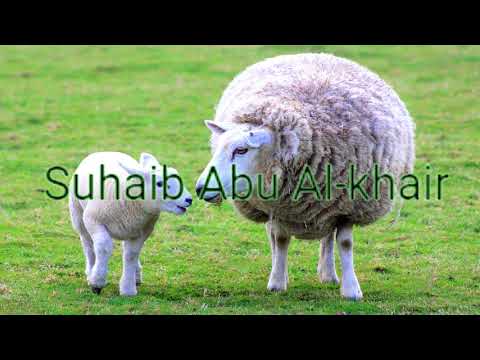 مؤثرات صوتية للمونتاج صوت رغاء الحمل Sound Effects For Montage Small Pharynx Voice Fears