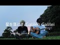 星を落とすCover/Galileo Galilei