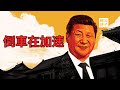 中國人陷入民族癲狂，中美洲議會踢走台灣！特斯拉正在被拋棄，習近平不作不死倒車加速中...