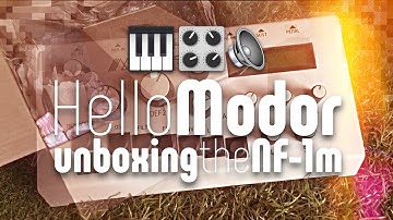 Hello Modor: unboxing the Modor NF-1m