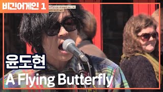 [비긴어게인 - Listen어게인] 어깨가 들썩들썩! ′A Flying Butterfly′♪ (나는 나비 영어 Ver.)