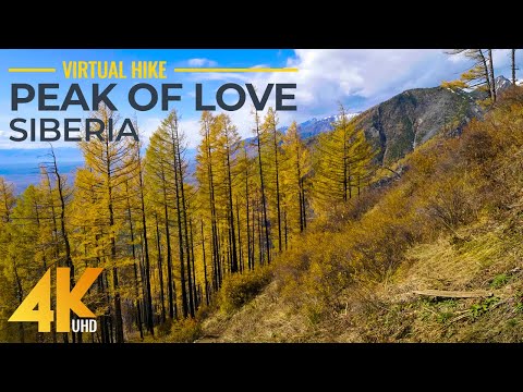 Autumn Hike in Siberian Mountain Forest Ascent to the Peak of Love