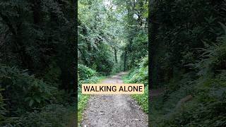 Solo Trek Through a Himalayan Forest | Silent Mountain Trail 🌿