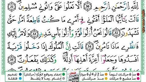 (مكررة) حفظ سورة النمل (07) للقارئ الشيخ محمد سايد