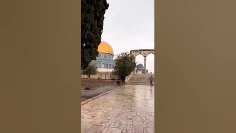 و رضيت حين مضيت عني قد قلت لي يوما تمني 