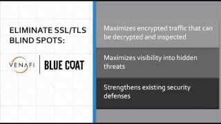 Blue Coat and Venafi: Eliminate Blind Spots in SSL/TLS Traffic