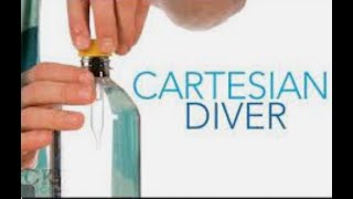Cartesian diver experiment, how to make it and the explanation