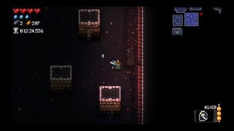 Most coins in one level (Enter the gungeon)