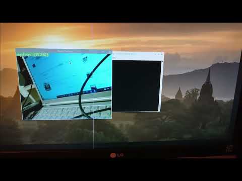 【Raspberry Pi】TensorFlow Liteで物体認識させてみた