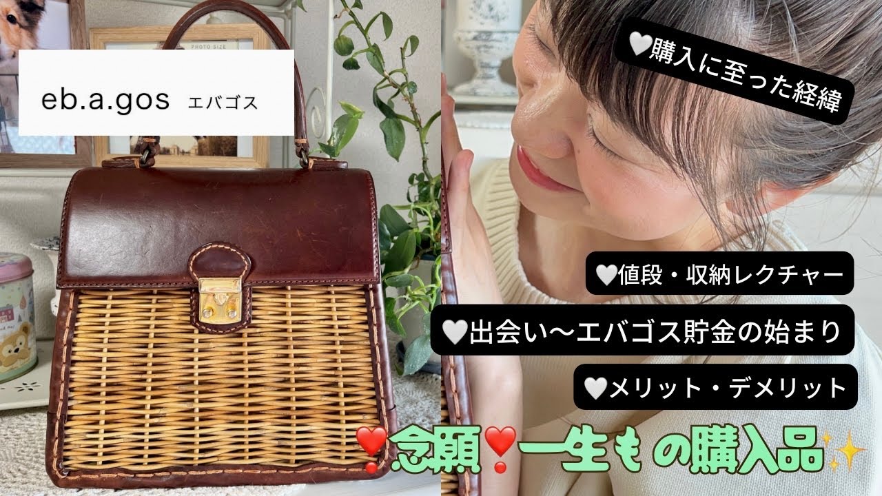 ✨一生物ebagos（エバゴス）?✨出会い/貯金/購入の決め手/収納 