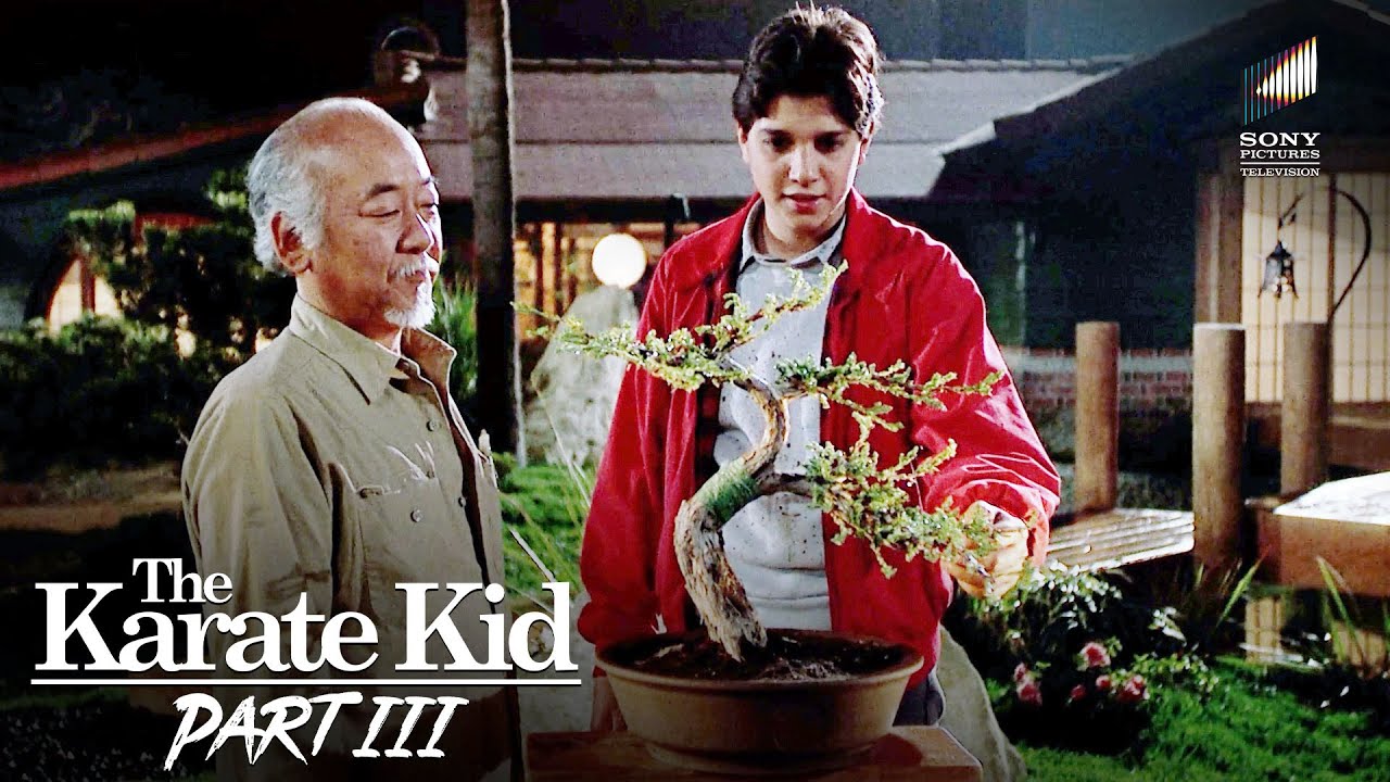 Daniel Finds Hope as Miyagi’s Bonsai Begins to Heal | The Karate Kid Part 3 (1989)