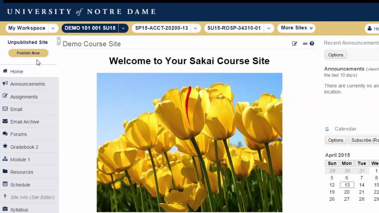 How To Publish Unpublish Your Sakai Course Site YouTube
