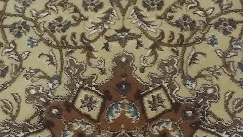 القارئ الشيخ / أبو أسامة محمود صابر صلاة العشاء 21 رمضان 1439