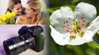 Macro Flower Photography with Macro Extension Tubes