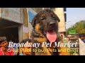 Review and Buying Tips in Broadway Pet market... Casual talk starts from 9:00... Review and Buying Tips in Broadway Pet market... Casual talk starts from 9:00...
