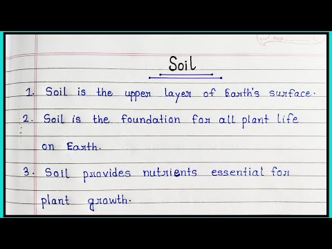10 Lines Essay
