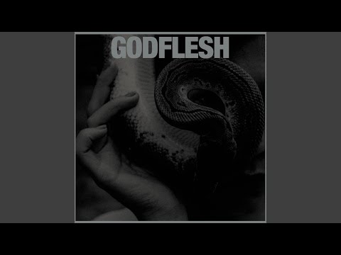 Godflesh — LAZARUS LEPER