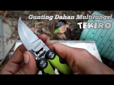 Review Gunting Dahan Pohon Tinggi. 