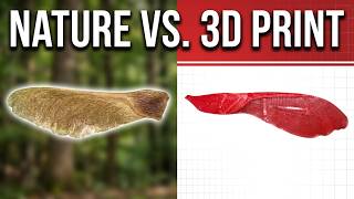 We 3D-Printed Maple Seeds to Build Better Microfliers