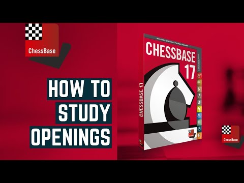 Chessbase 17 -
