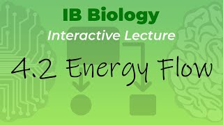 [OLD2016] IB Biology 4.2 - Energy Flow - Interactive Lecture