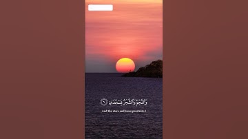 🌸 فبأي آلاء ربكما تكذبان – آيات من سورة الرحمن💚ياسر_الدوسري#تلاوة#قرآن