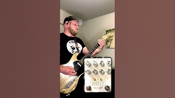 Fuzzimp Amity (HiGain Crunch Boost)