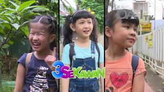 Sawo Raksasa Pahlawan Olahraga Rumah Impian  Daai Tv Tayang 23 Januari 2018